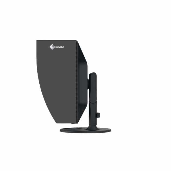 EIZO CG3100X ColorEdge - immagine 4